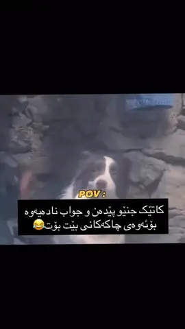 #fyp #foryou #foryoupage #viralvideo