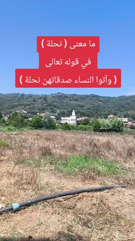 ما معنى ( نحلة )  في قوله تعالى  ( وآتوا النساء صدقاتهن نحلة ) #فرنسا🇨🇵_بلجيكا🇧🇪_المانيا🇩🇪_اسبانيا🇪🇸 #ذكر_الله #fyp 