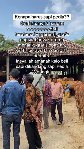 Wa 085335060252 @SAPI PEDIA FARM #fypシ゚ #peternaksapiindonesia #sobatngarit #viralvideo #fyp 