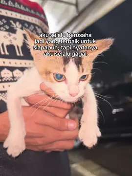 #CapCut 