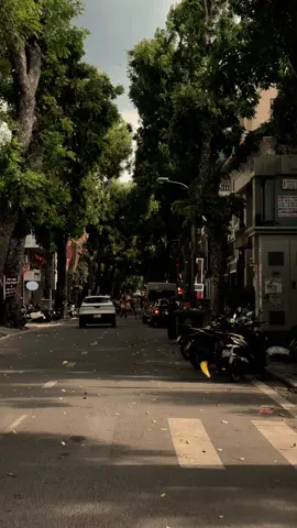 Có một “Thu” Hà Nội dịu dàng #muathuhanoi #thang8  #thu #chualanh #foryou 