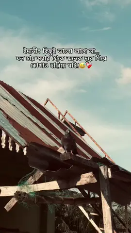 Er  kicoy valo lagew nah. #viral #foryou #fyp 