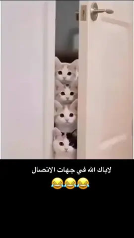 #fyp #foryou #f #😂😂😂😂😂😂😂😂😂😂😂😂😂😂😂 #😂😂😂😂😂 #😂😂😂 #😂 #السعودية #الشعب_الصيني_ماله_حل #الشعب_الصيني_ماله_حل😂😂 #ضحك_وناسة #comediahumor #comedia #0324mytest #funny #دويتو #الخليج #الامارات #الكويت #اضحكو_بحب_اشوفكم_مبسوطين  #الشعب_الصيني_ماله_حل😂😂🏃🏻‍♀️ #fypシ #اضحك_من_قلبك  #مالي_خلق_احط_هاشتاقات🦦 #الشعب_الصيني_ماله_حل😂😂🏃🏻‍♀️