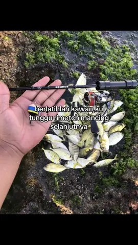 klau udah siap,datang saja di tempat biasanya kita adu ilmu 🤪 #cesting #ultralightfishing #storymancing #stroytime #fyp 