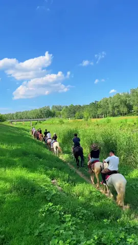 My grassland, my horse, I can play whatever I want#OriginalVideo #TheJoyofRidingaHorse 