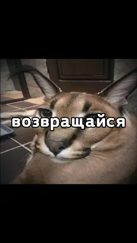 #2021 #шлёпа  #шлепа #мемы2021 #2021возращение #анонимусы #снюсоеды 