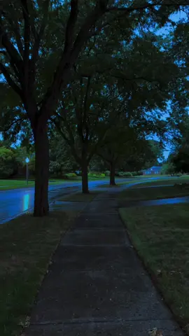 quiet walk after a rain 🌧️💙 #liminal #walk #rain #nostalgia #bluehour 