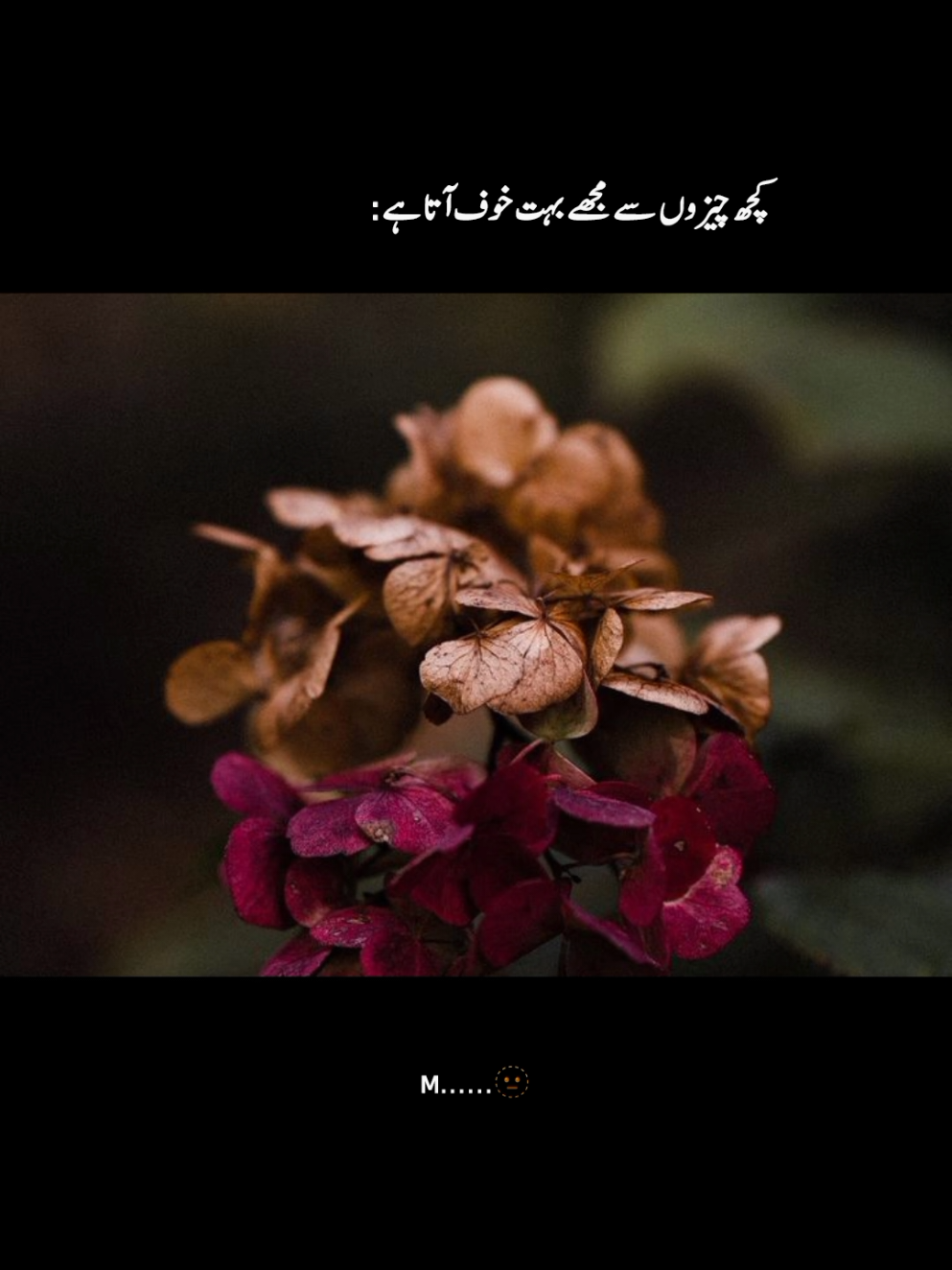 جو سمجھ نہ سکے وہ ہمدرد کیسا؟ #foryoupage #fyp #aesthetic #foryou #foryoupageofficiall 