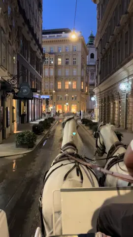 #explore #اكسبلور #foryou #vienna #austria 