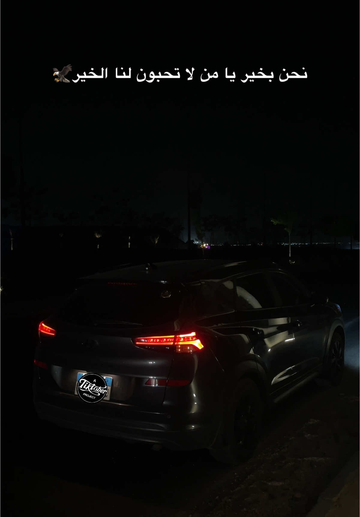 #fypviralシ #fyp #foryou #المعروف_لايعرف #مصر🇪🇬 #توسان 