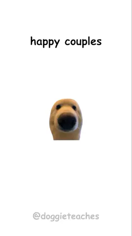 Doggie Explains How to Ruin Relationships #fyp #dog #LearnOnTikTok #doggieteaches 