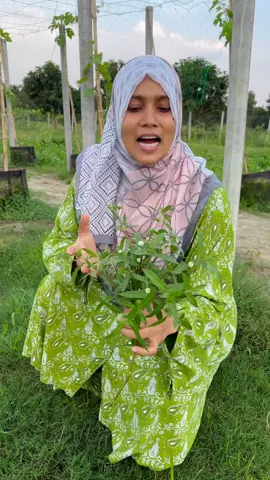 ঝলমলে চুলের জন্য কালোকেশী!  #PremiumAgro #agriculture 