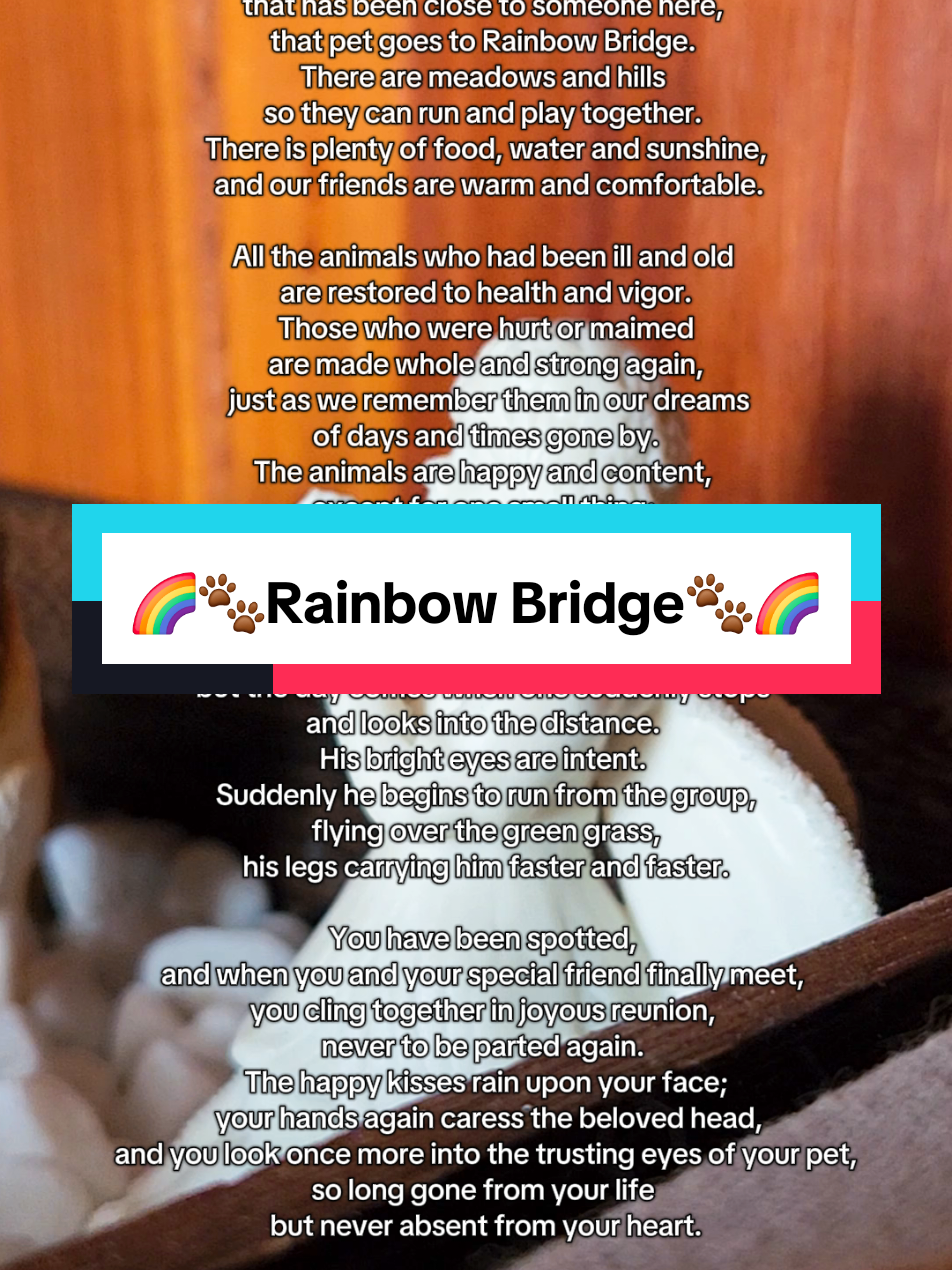 I added to my garden. #rainbowbridge 🌈