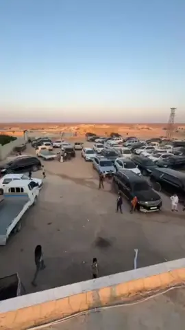 ربعي طلايع قوم وسيوف وخيول خيالها يارد على الموت ما هاب اخوة جمله قبيله #الموالي عشيره الدوله #مضافه-فايزه-النوري