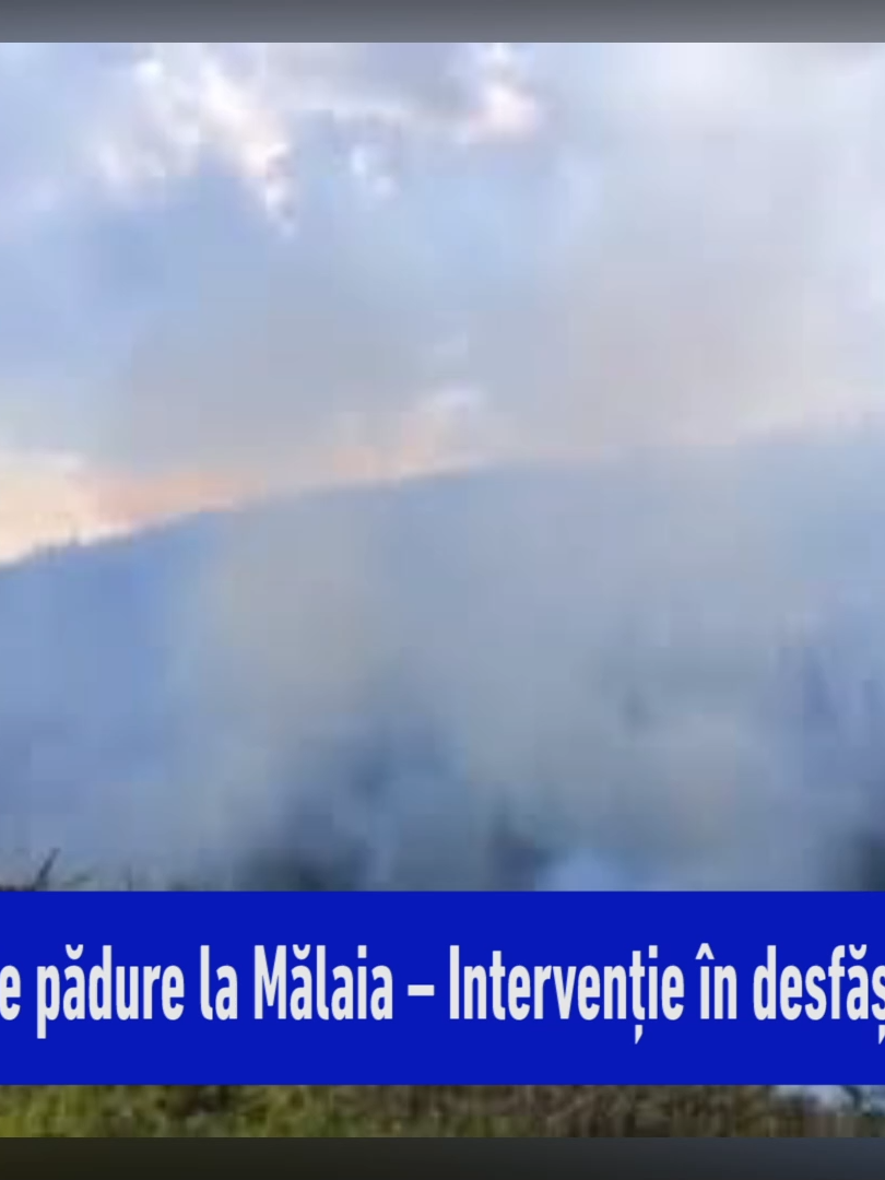 Incendiu de pădure la Mălaia – Intervenție în desfășurare de trei zile Incendiul de pădure izbucnit în localitatea Mălaia, județul Vâlcea, încă nu a fost lichidat complet. Deși au trecut trei zile de la declanșarea focului, pompierii continuă intervenția pe teren. Suprafața afectată este de aproximativ 3 hectare. Detalii, în materialul următor.