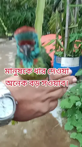 মানুষকে ধার দেওয়া অনেক বড় ইবাদাত অনেক বড় সওয়াব।#bdtiktokofficial #creatorsearchinsights #foryoupage #foryoupage #foryou 