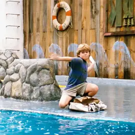 Reject Animal Shows:Their Hidden Suffering #movie #filmcommentary #foryou #usa #fyp 