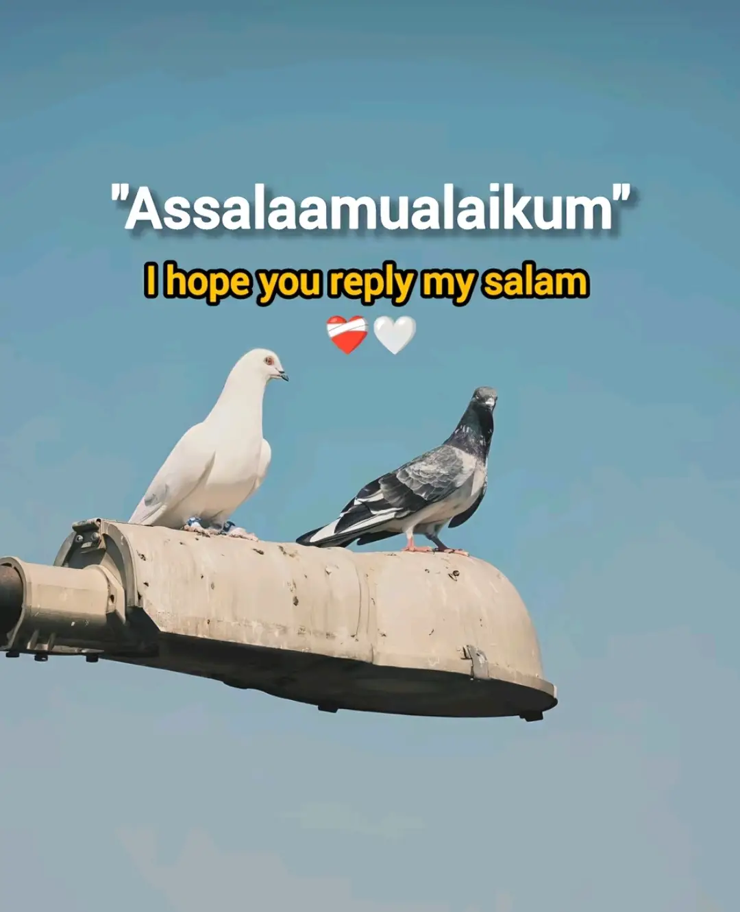 #vairalvideo #fyppppppppppppppppppppppp #foryou @TikTok Bangladesh 