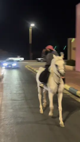😝😝😝😝😝. #ماشاءالله_تبارك_الله #الطايف #الردف #خيل #جنى_العتيبي🐎 
