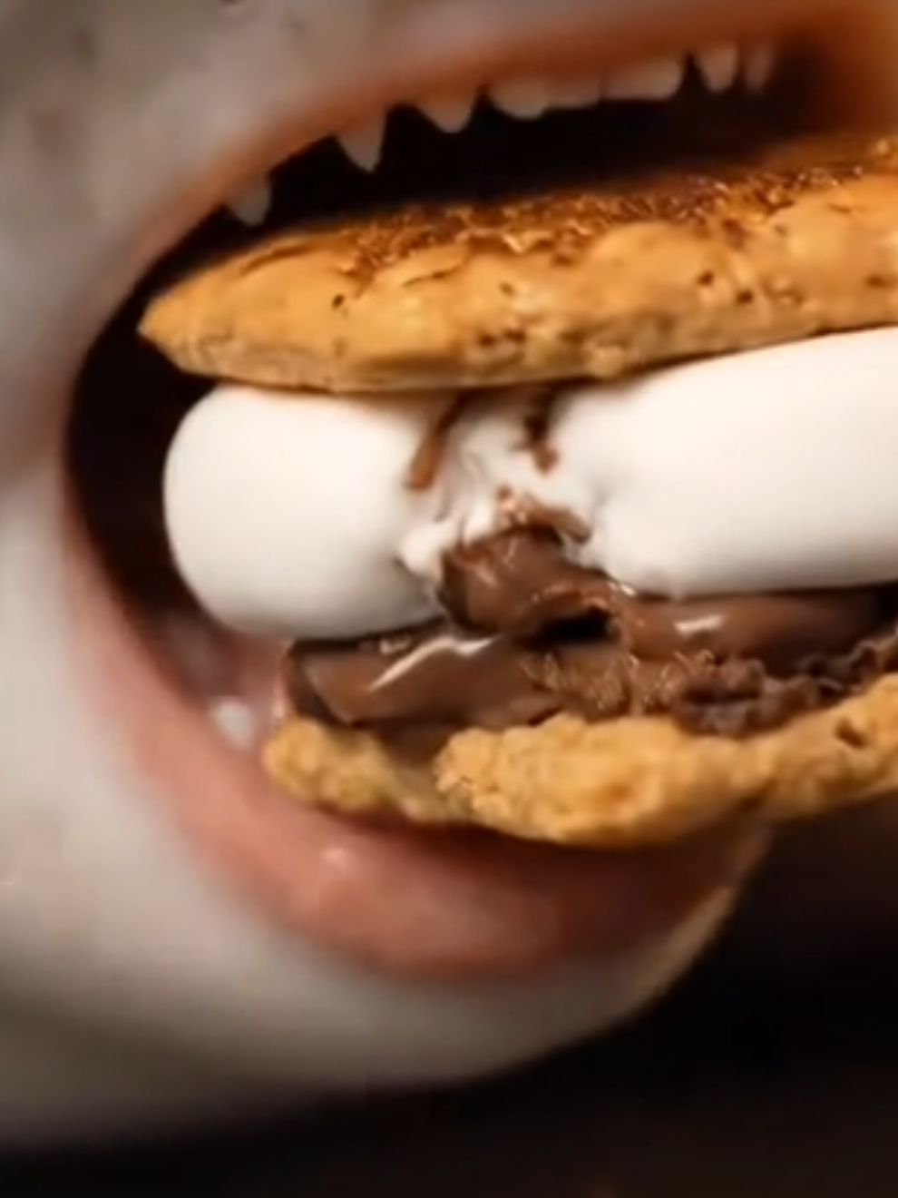 #asmr S'mores bite ASMR #smores #asmrsounds 