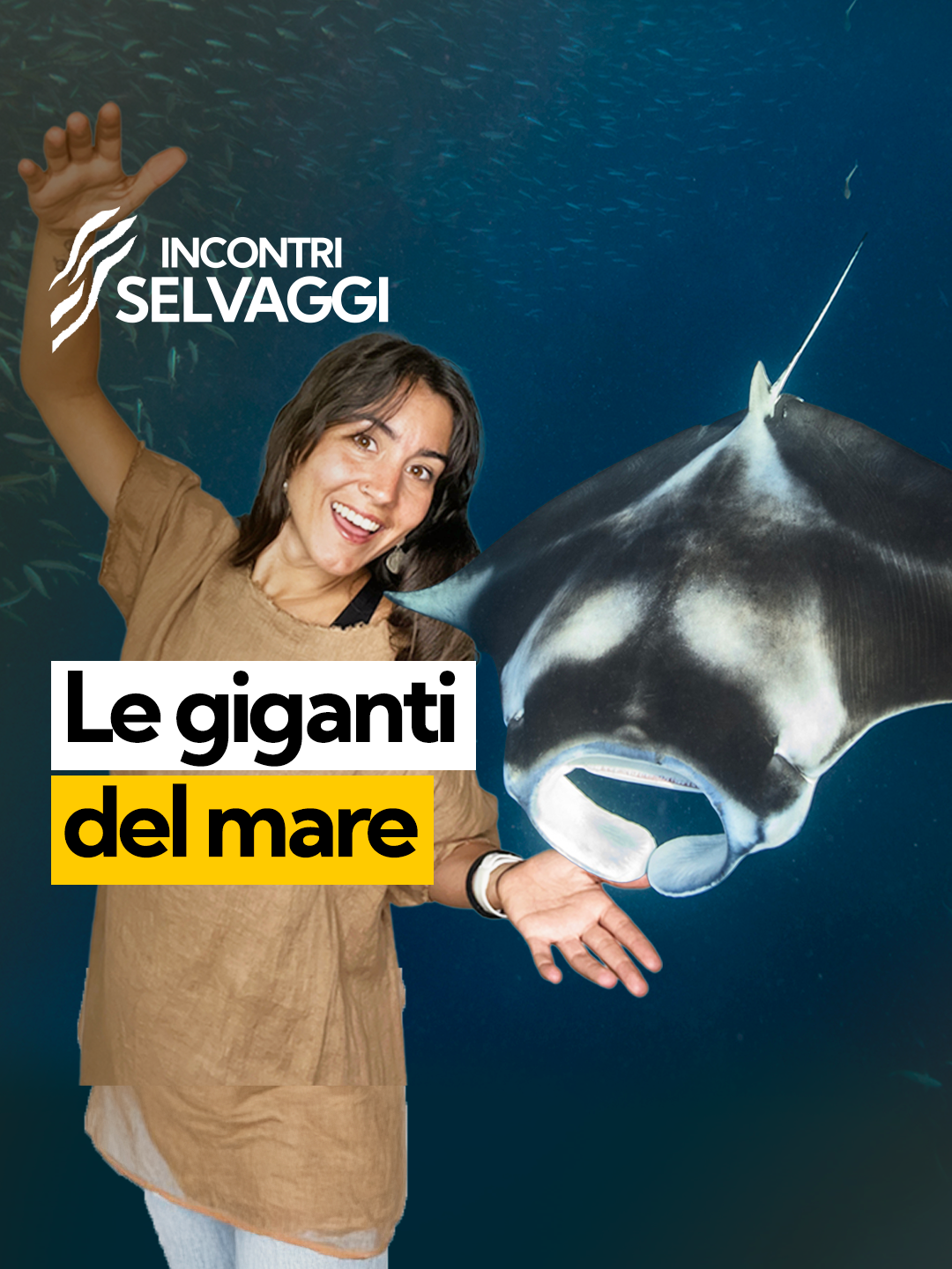 🌴 Se sei in vacanza in una meta tropicale e ti capita di vedere un’ombra enorme scivolare sotto di te… niente panico: potrebbe essere una manta! In questo episodio speciale estate di 