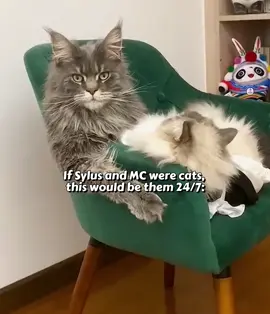 credit cats old videos to:Fukuandbubbles& Ourfullerhaus. Audio: Sylus Freefall Gambit +Freek A Leek.#sylusloveanddeepspace