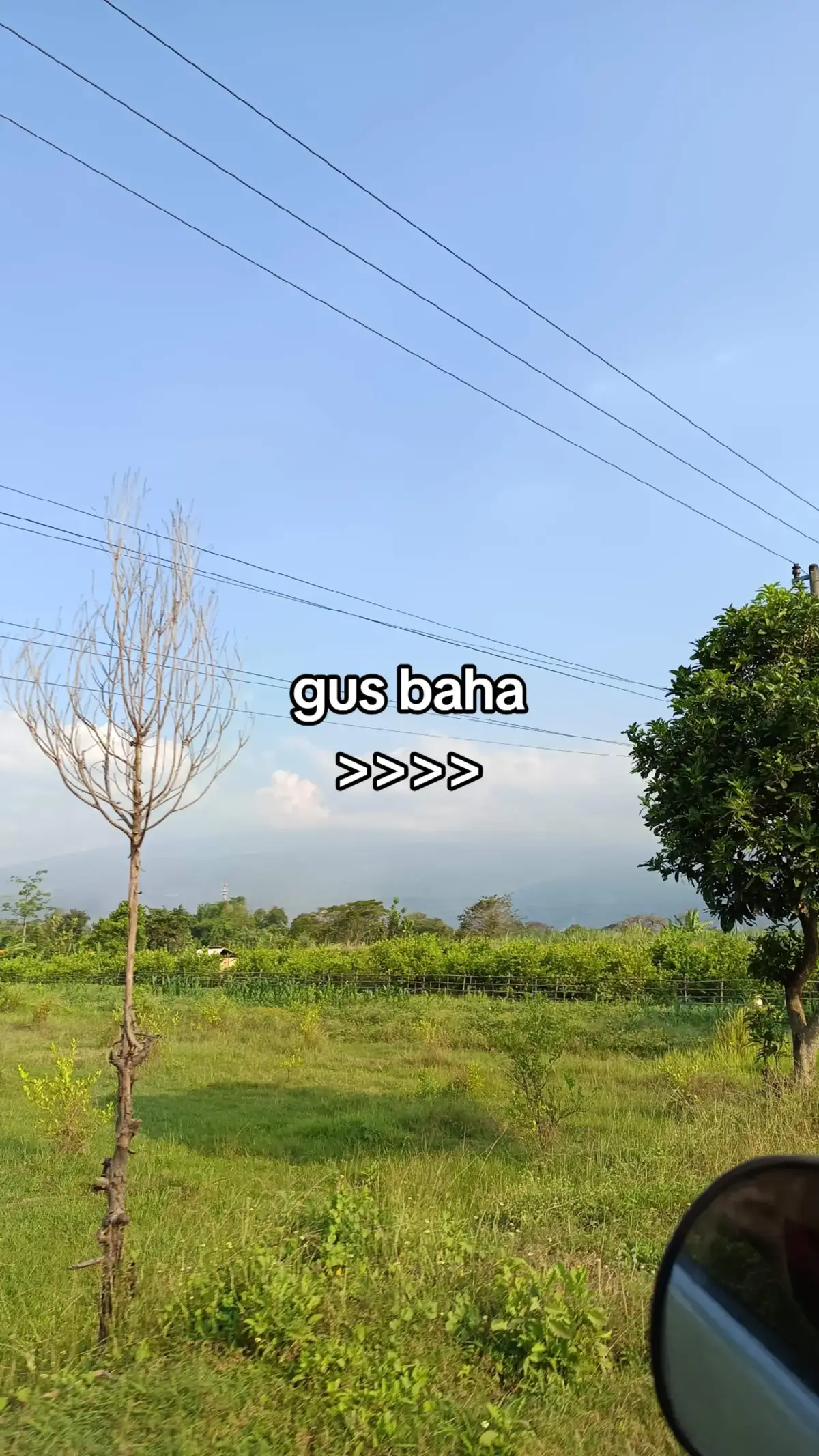 nggeh gus #gusbaha #fyp #xyzbca 