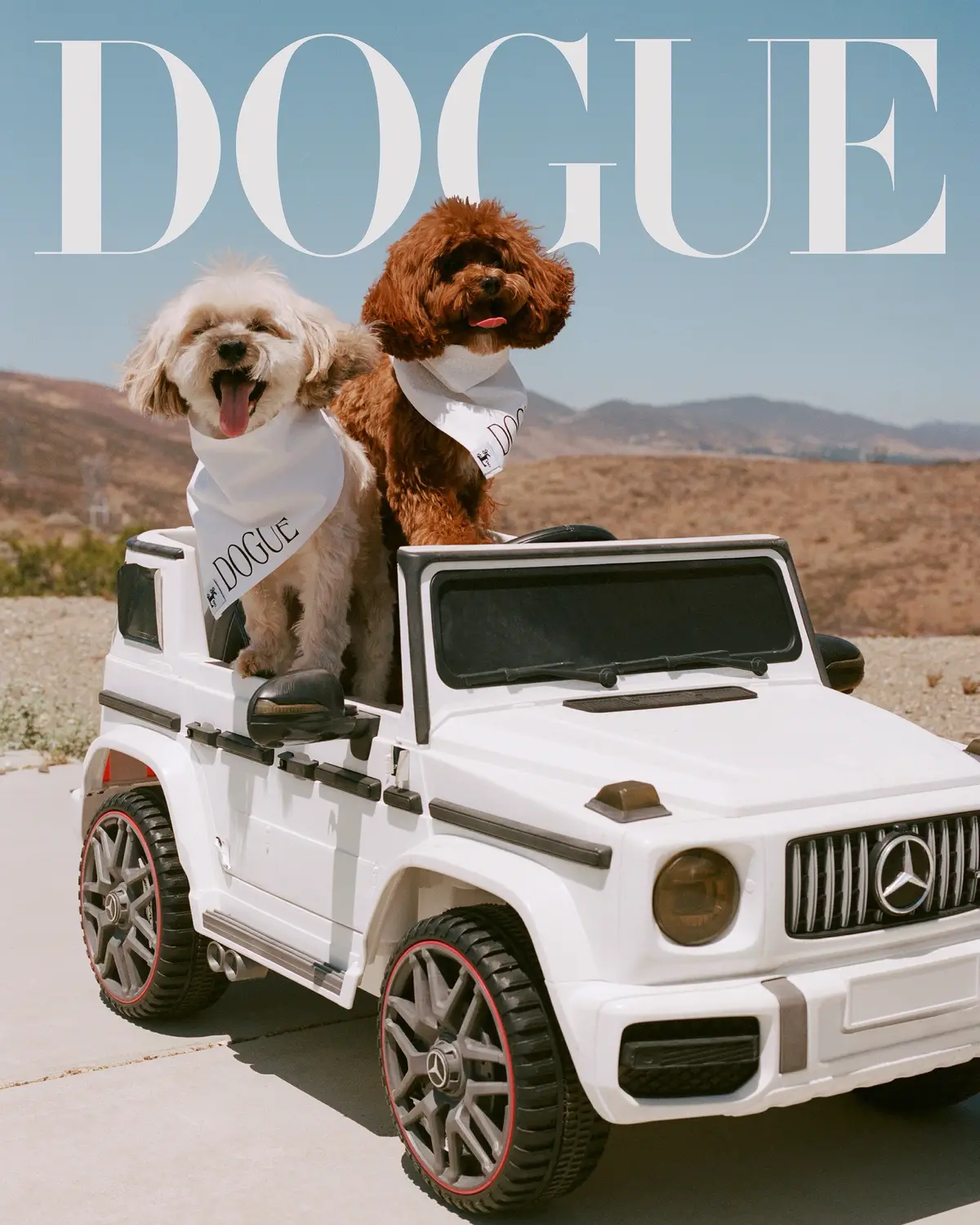 #SabrinaCarpenter’s dogs, Goodwin and Louie, truly live up to the title Man’s Best Friend—though not to be confused with her upcoming album of the same name. Their full names? Simply Goodwin (an Angel Doll pup) and Louie (a Cavapoo). Like Rihanna, they don’t need last names. In their #Dogue 2025 cover story, we learn that the pups have been joining Sabrina on tour, making themselves right at home in her dressing room. “They’ve actually never gotten to see me perform live,” she says. “Which sucks for them, because I think they’d like it.” At the link in our bio, Sabrina answers the questions to our 2025 Dogue questionnaire.