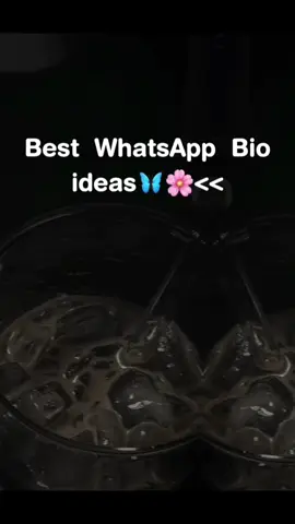 Wp bio idea ..!!❤️‍🩹🦋🖇@۲: ۲: ۴: 🌚🚩 #captions #aesthetics #bio #storytime#jahansikandar 