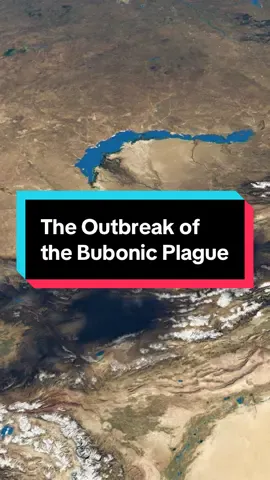 Watch „How the Silk Road Made the World“ on our YouTube channel! #history #historytok #bubonicplague #blackdeath #plague #plaguedoctor #middleages #justmedievalthings #medieval #medievaltiktok 