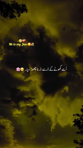 اُس کی فِکر کرنا چھوڑ دیا 😩❤️‍🩹#aesthetic #poetry #poetrystatus #grow #account 