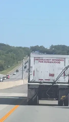 What do you think is in here?🤮 