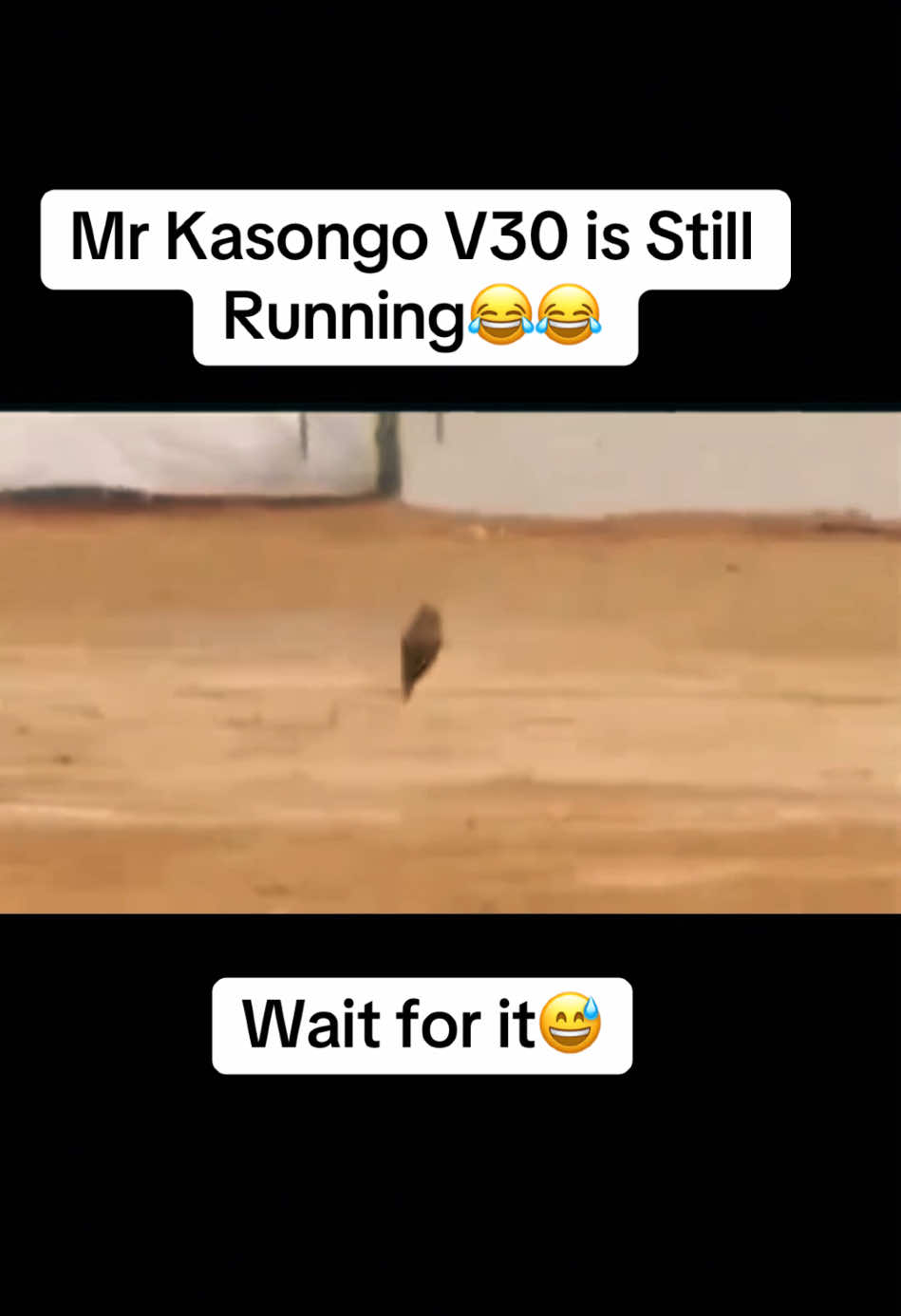 Mr Kasongo V30 is Still Running😂😂 #fyp #warthog #fyppp #lion #foryoupage❤️❤️ 