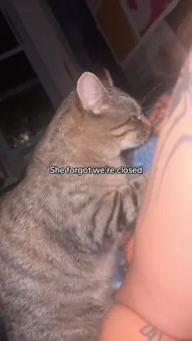 She stays working ✋🏼😭😔 #fyp #biscuits #kitty #nightroutine #closingshift 