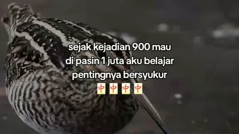 sedang menunggu admin pada komen🗿🖐️#xyzbca #storywa #foryou #4u 