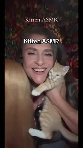 Kitten ASMR #asmr #kitten #