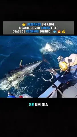 #pesca 
