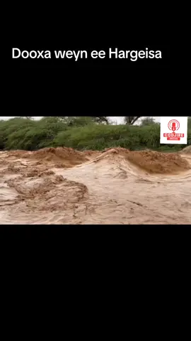 #Dooxa weyn Hargeisa oo Hada socda#