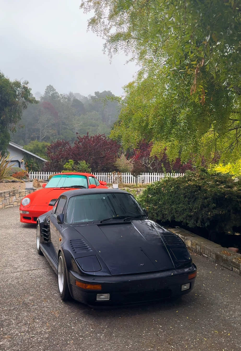 The only RUF CTR Slantnose  #tomspotz #rufctr 