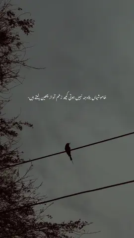 #fyp 