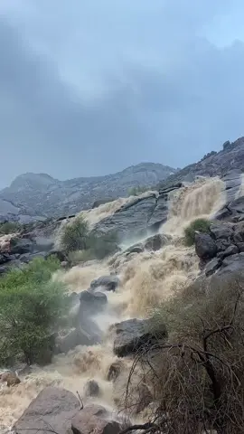 #الباحه_الجنوب #المخواة_تهامة 