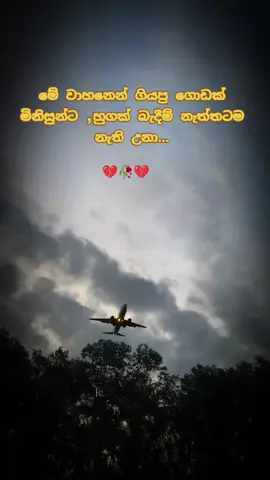 #කතාව_ඇත්ත_නේද_යාලුවනේ🙂💔🍀 🙂💔🍀#foryoupage #fyp #foryou #sandaruwan🇱🇰🇰🇼 