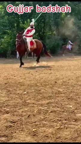 Gujjar badshah chak pirana USA Ala mela Ohio 🎠🧲❤️🐎🎠🧲❤️🐎🎠