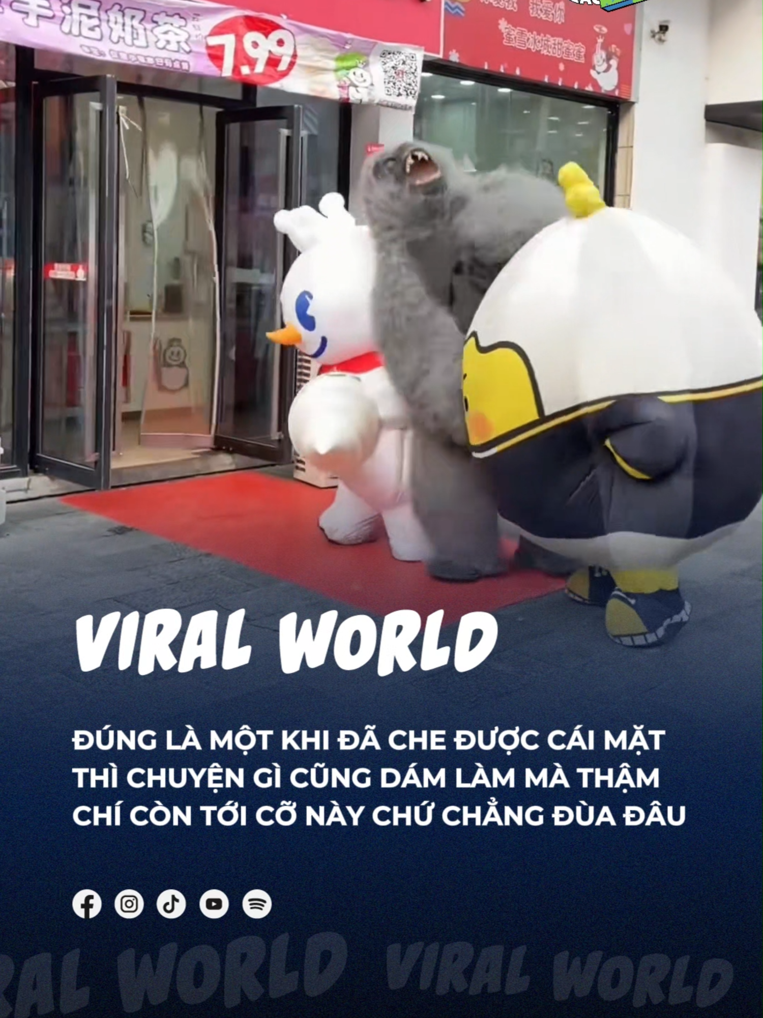 Che mặt là tới cỡ này luôn không đó =))) #beatviralworld #beatnetwork #bnetwork #beatvn #beatoflife