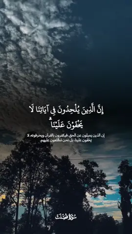 فيديو قرآني مؤثر للقارئ بلال سيف 🌹📖 يلامس القلوب ويشرح الصدور بنفحات إيمانية عطرة ✨ استمع بخشوع وخلي القرآن ينور دربك 🤍   .   .   #قرآن #قران #قران_كريم #قرآن_كريم #قراني #قرآني #اسلاميات #اسلامي #قران_تيك_توك #القران_الكريم #تلاوة #تلاوة_قران #قران_شريف #تيك_توك_قران #هاشتاقات #بلال_سيف 