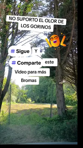 NO Suporto el olor de la ruina jajaja  #parati #carcajadas #chistes #broma #fyp #viral #diversion #risas #foryoupage❤️❤️ #humorlatino #funny #comedia #parati #fyy 