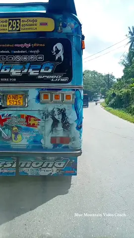 293 ලස්සනට ඉන්න අය @මන්දෝදරී Speed Line  @Yazaz_Bandara  #fouryoupage #sltiktok #CapCut #fouryou #busvideo #බස් #bus #bluemountainvideocoach 