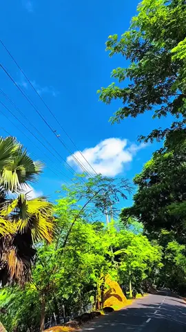 Redmi note 14 pro plus 📷🙌 camera test..💀                      #viralvideo 