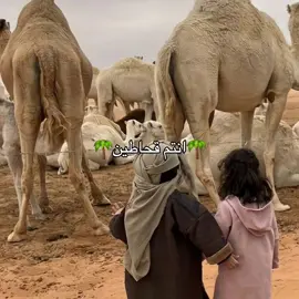 #قحطان #foryou #capcut #fyppppppppppppppppppppppp 