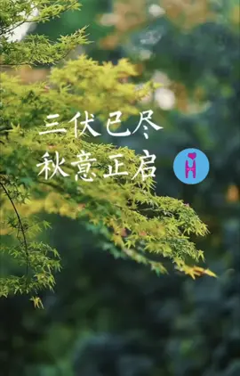 已盡，秋意正啓 今天是三伏最後一天，炎熱散盡，秋涼正好，這個秋天，願所有的事情都能化伏為安，所有的想念，都可以如約相見，夏盡秋來，願愛與好運同在。＃三伏＃出伏＃初秋＃祝福@人生智慧有你真好 #人生智慧有你真好❤️‍🩹 #HEART有你真好❤️